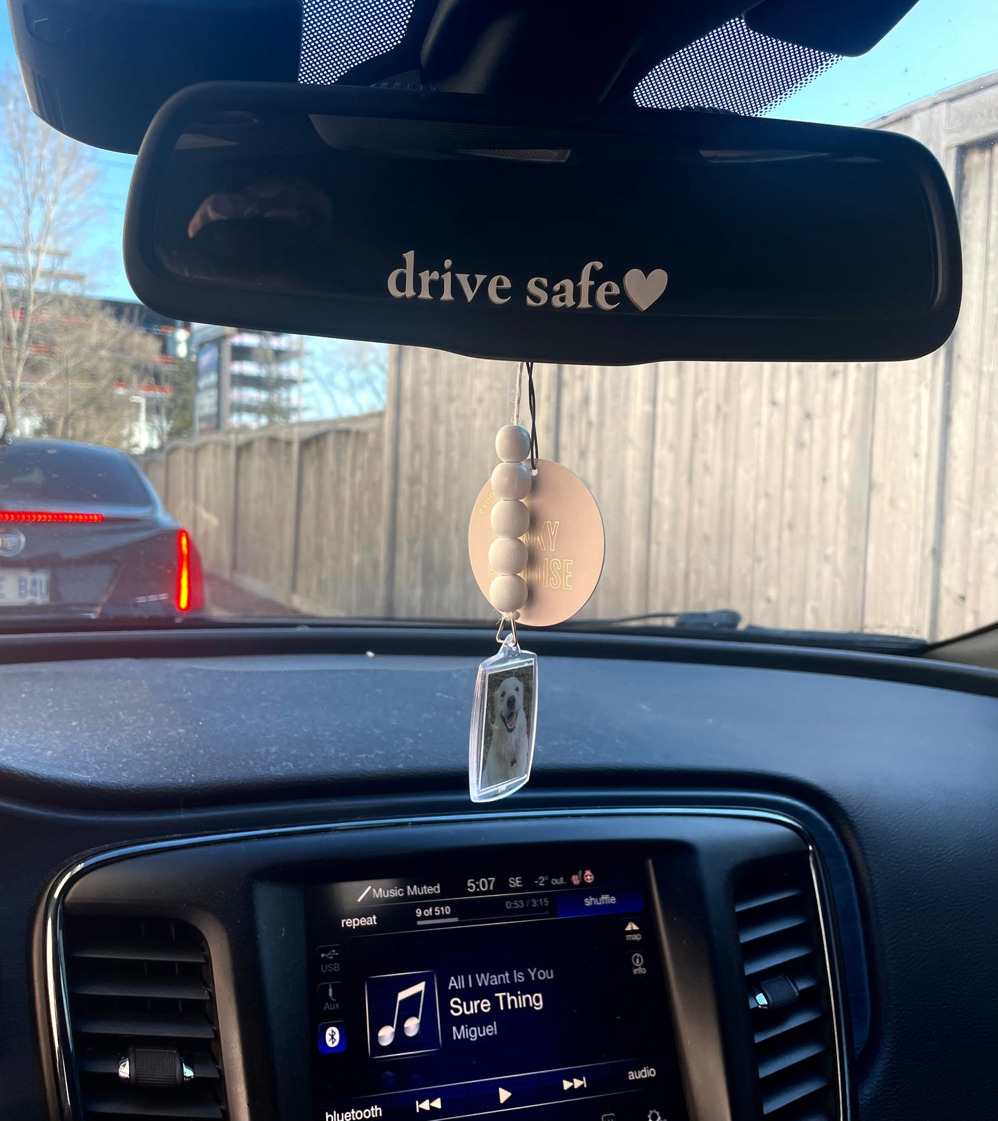 Drive Safe Car Decal